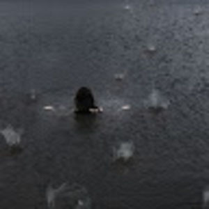 Meet your Posher, Dori